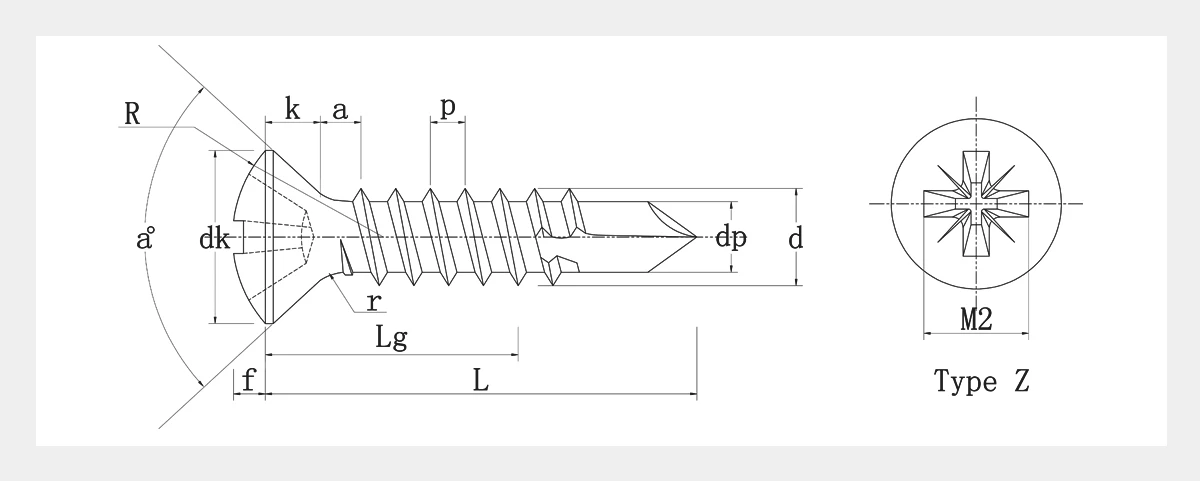 Carbon Steel Self Drilling Screws 2D