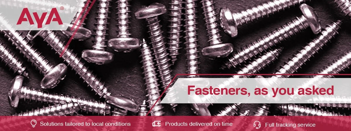 Pozi Drive Screws-AYA
